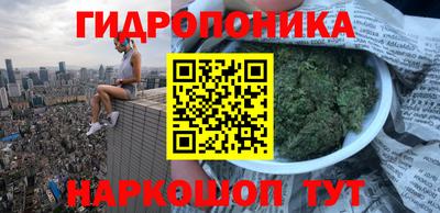 тгк Пушкино